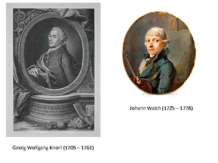        Johann Walch (1725 – 1778) Georg Wolfgang