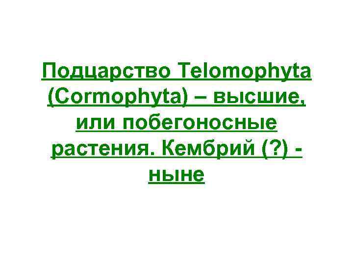 Подцарство Telomophyta (Cormophyta) – высшие, или побегоносные растения. Кембрий (? ) -  