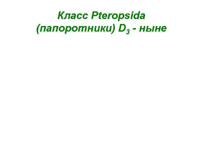   Класс Pteropsida (папоротники) D 3 - ныне 