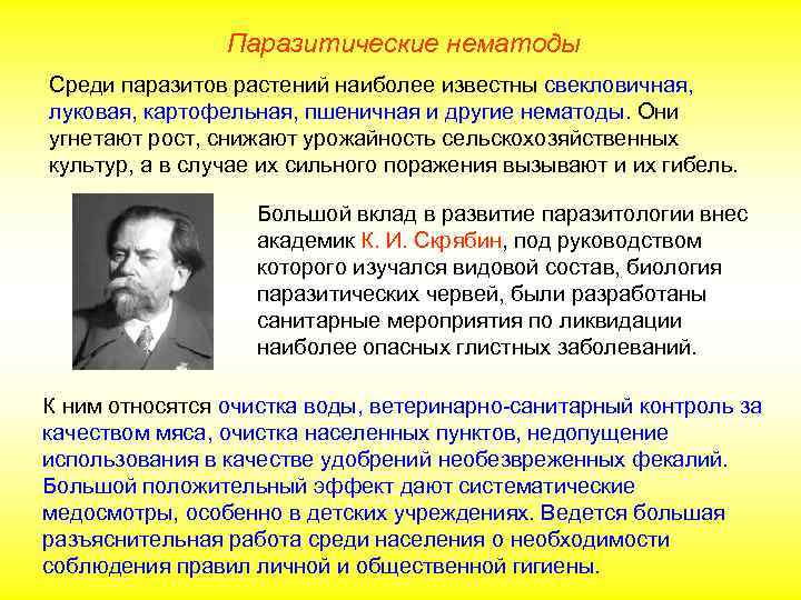     Паразитические нематоды Среди паразитов растений наиболее известны свекловичная, луковая, картофельная,