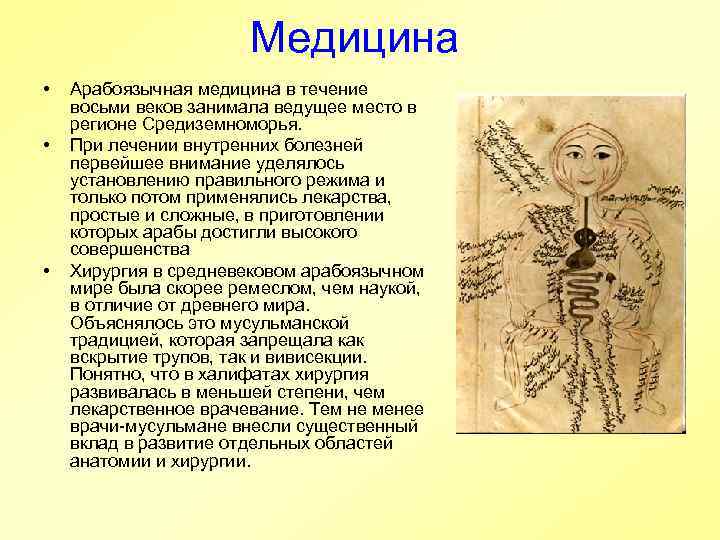     Медицина •  Арабоязычная медицина в течение восьми веков занимала