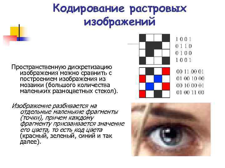 Кодирование растровых изображений Пространственную дискретизацию изображения можно сравнить Кодирование растровых изображений Пространственную дискретизацию изображения можно сравнить