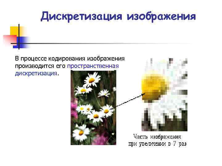 Дискретизация изображения В процессе кодирования изображения производится его пространственная дискретизация. Дискретизация изображения В процессе кодирования изображения производится его пространственная дискретизация.