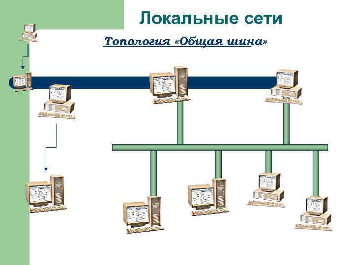   Локальные сети Топология «Общая шина» 