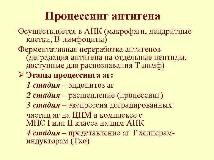 Процессинг и презентация антигена