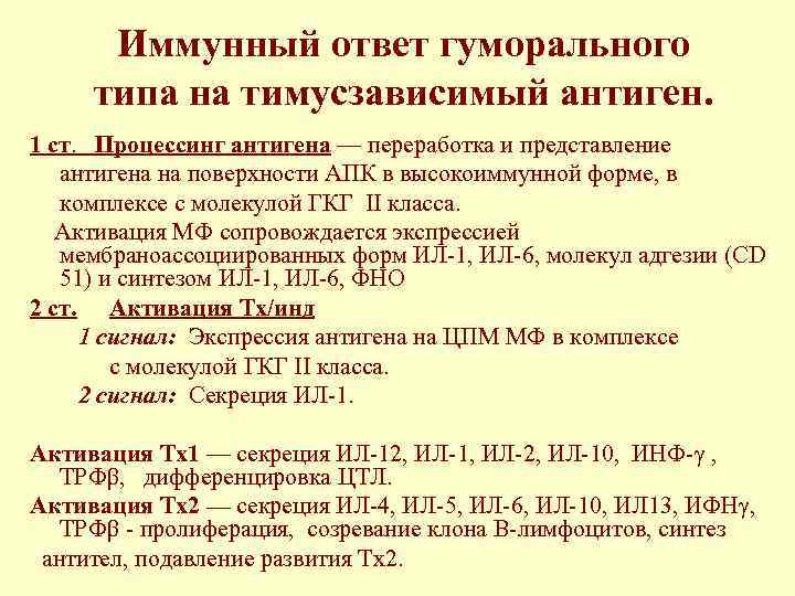  Иммунный ответ гуморального типа на тимусзависимый антиген. 1 ст. Процессинг антигена — переработка