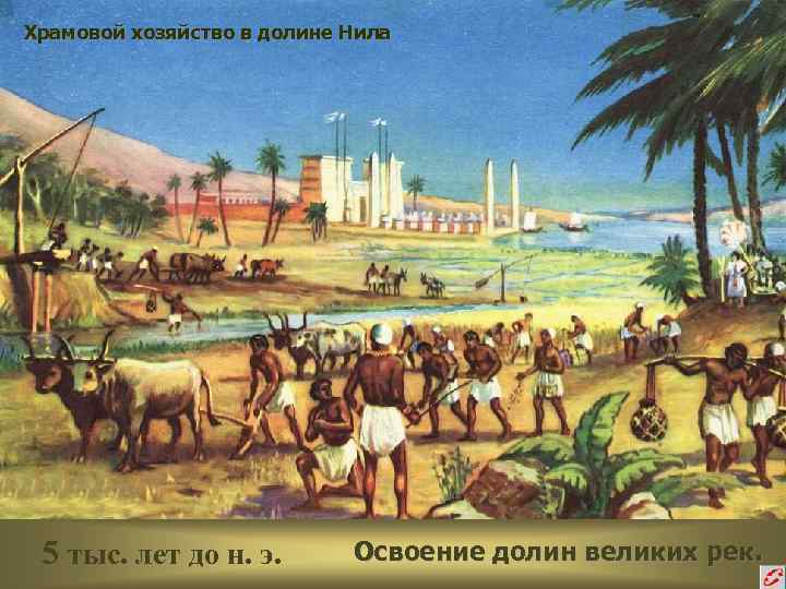 Храмовой хозяйство в долине Нила 5 тыс. лет до н. э.   Освоение