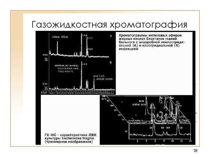 Газожидкостная хроматография      28 