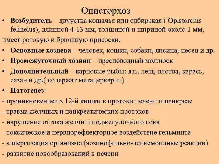     Описторхоз • Возбудитель – двуустка кошачья или сибирская ( Opistorchis