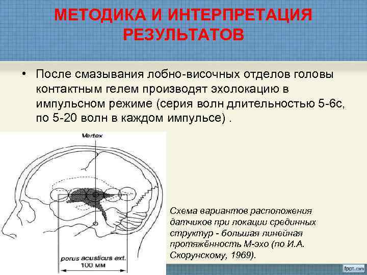  МЕТОДИКА И ИНТЕРПРЕТАЦИЯ  РЕЗУЛЬТАТОВ  • После смазывания лобно-височных отделов головы 