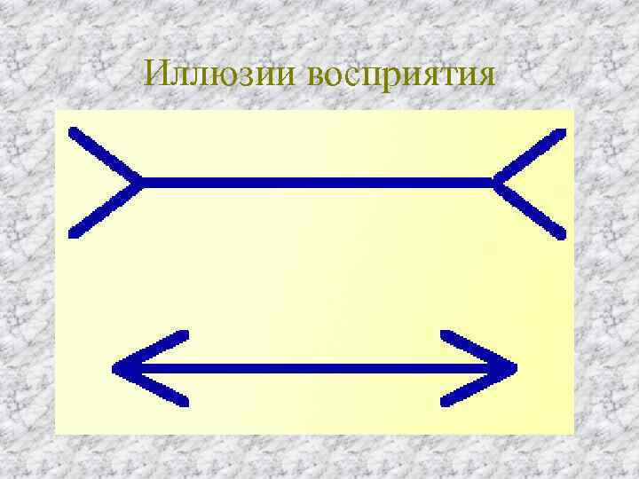 Иллюзии восприятия 