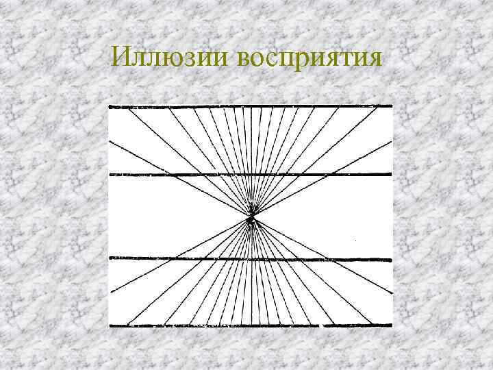 Иллюзии восприятия 