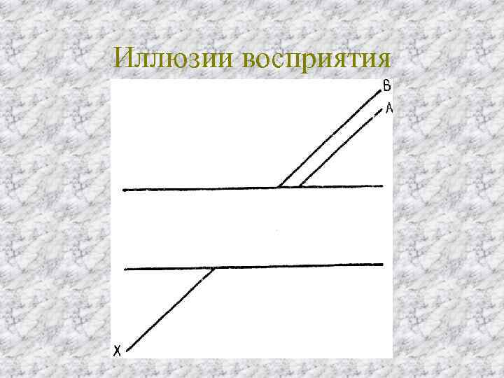 Иллюзии восприятия 