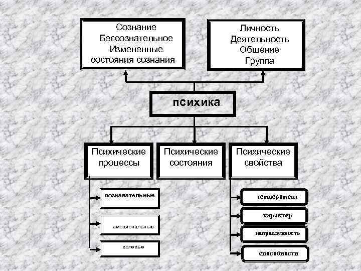 Деятельность сознание личность. Леонтьев а.н деятельность сознание личность. Деятельность. Сознание. Личность книга. Леонтьев деятельность сознание личность.