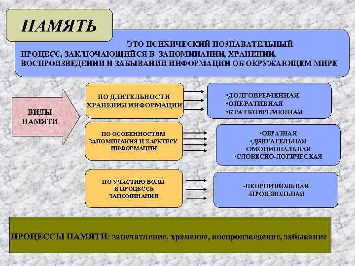 Память как психический процесс презентация