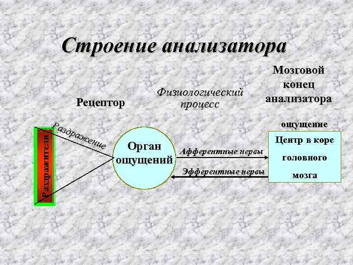 Общая схема анализатора