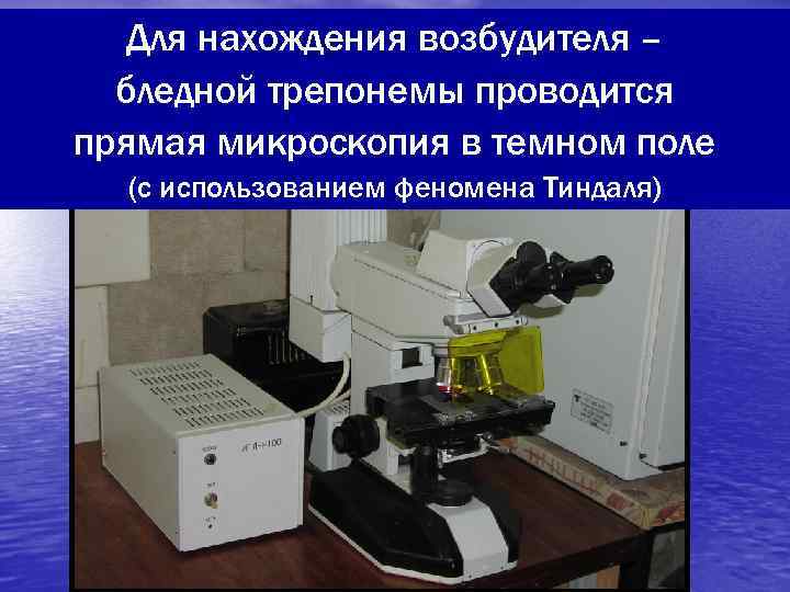   Для нахождения возбудителя –  бледной трепонемы проводится прямая микроскопия в темном