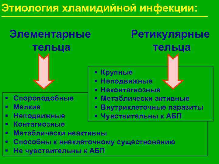 Хламидийный проктит схемы лечения