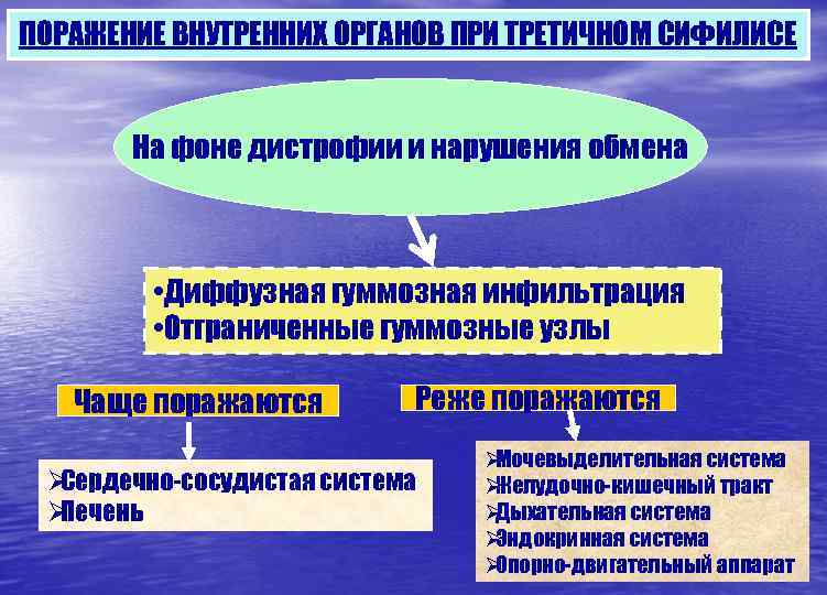 ПОРАЖЕНИЕ ВНУТРЕННИХ ОРГАНОВ ПРИ ТРЕТИЧНОМ СИФИЛИСЕ   На фоне дистрофии и нарушения обмена