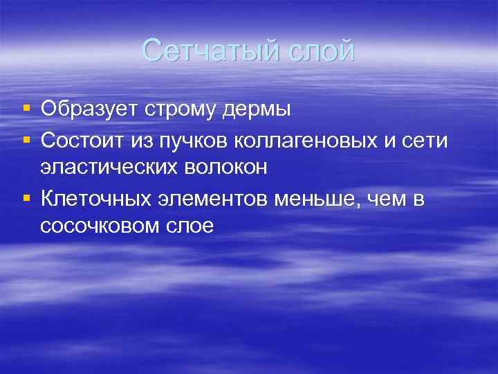 Сетчатый слой § Образует строму дермы § Состоит из пучков коллагеновых Сетчатый слой § Образует строму дермы § Состоит из пучков коллагеновых