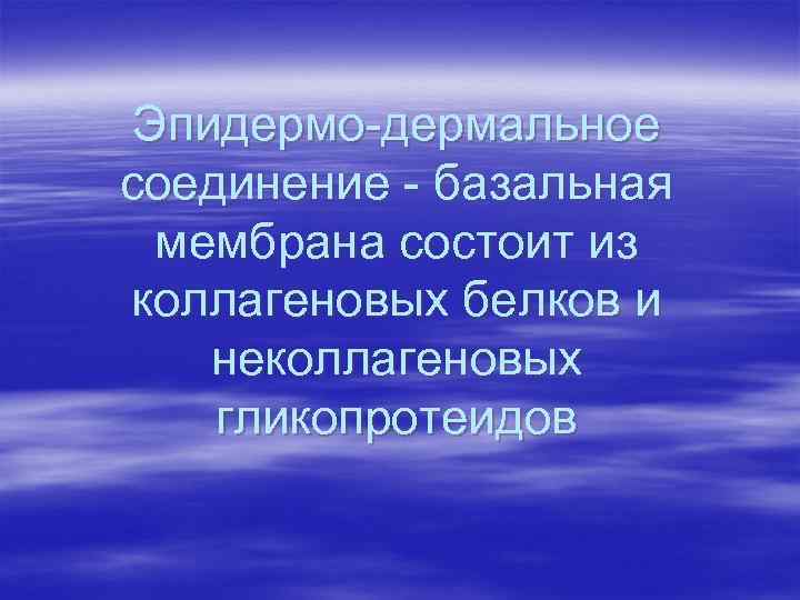 Эпидермо-дермальное соединение - базальная мембрана состоит из коллагеновых белков и неколлагеновых гликопротеидов Эпидермо-дермальное соединение - базальная мембрана состоит из коллагеновых белков и неколлагеновых гликопротеидов