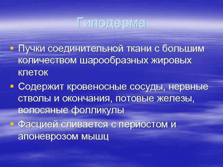 Гиподерма § Пучки соединительной ткани с большим количеством шарообразных жировых Гиподерма § Пучки соединительной ткани с большим количеством шарообразных жировых