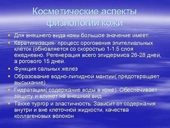 Косметические аспекты физиологии кожи § Для внешнего вида кожи большое значение Косметические аспекты физиологии кожи § Для внешнего вида кожи большое значение