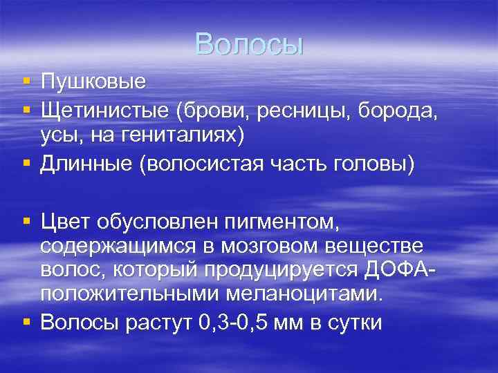 Волосы § Пушковые § Щетинистые (брови, ресницы, борода, усы, Волосы § Пушковые § Щетинистые (брови, ресницы, борода, усы,
