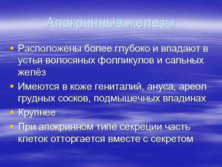 Апокринные железы § Расположены более глубоко и впадают в устья волосяных Апокринные железы § Расположены более глубоко и впадают в устья волосяных