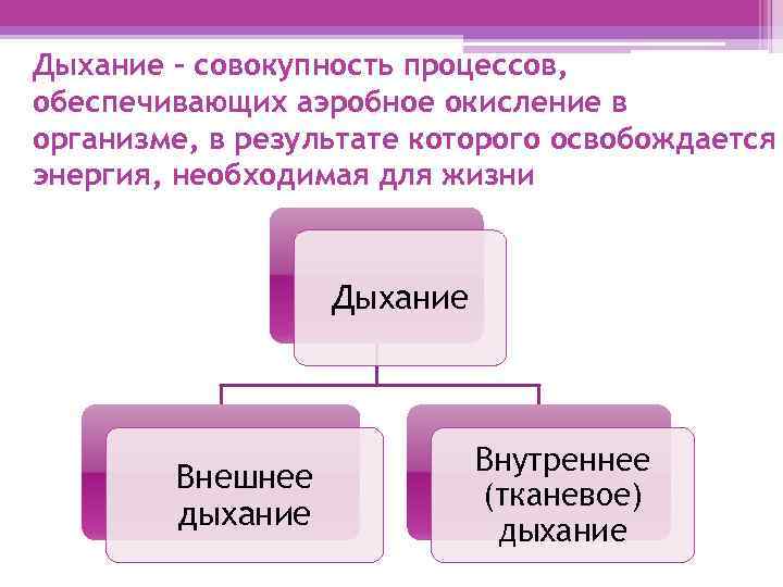 Дыхание – совокупность процессов, обеспечивающих аэробное окисление в организме, в результате которого освобождается энергия,