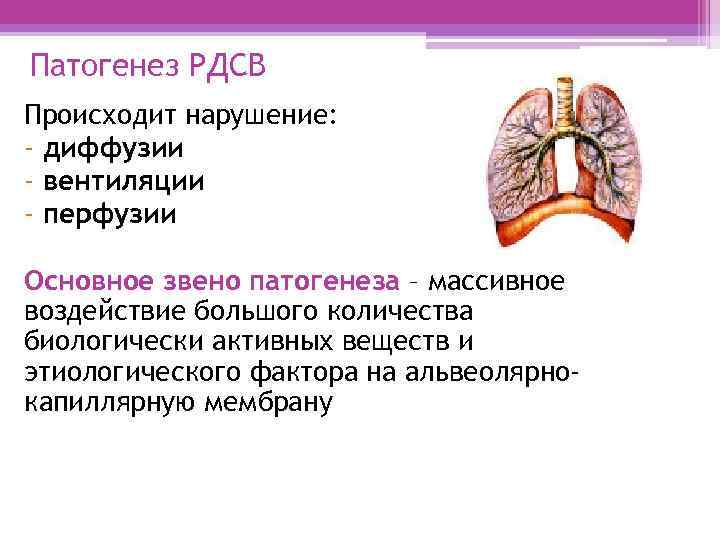 Патогенез РДСВ Происходит нарушение: - диффузии - вентиляции - перфузии Основное звено патогенеза –