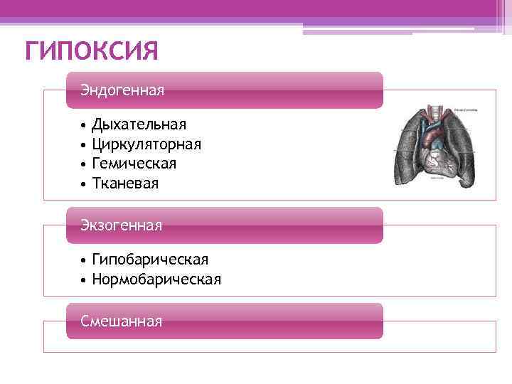 ГИПОКСИЯ Эндогенная • Дыхательная • Циркуляторная • Гемическая • Тканевая Экзогенная • Гипобарическая •