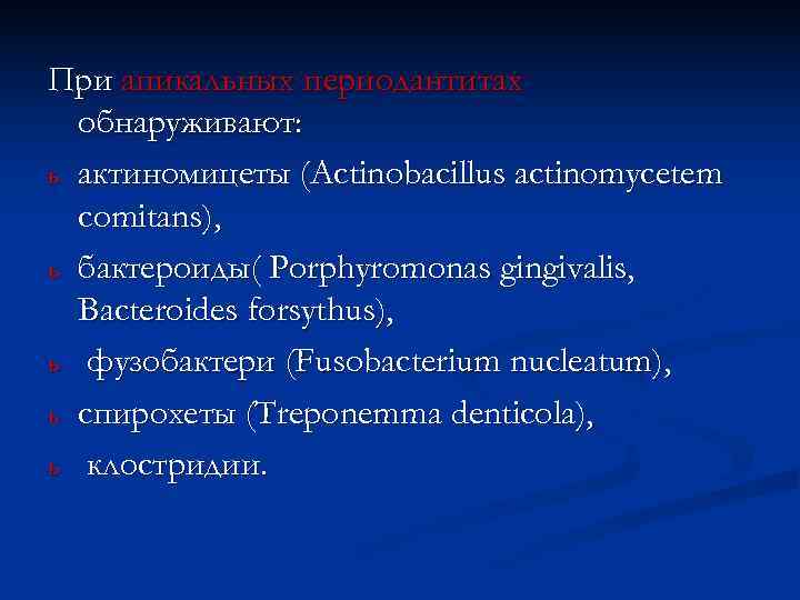 При апикальных периодантитах  обнаруживают: ь актиномицеты (Аctinobacillus actinomycetem  comitans), ь бактероиды( Porphyromonas
