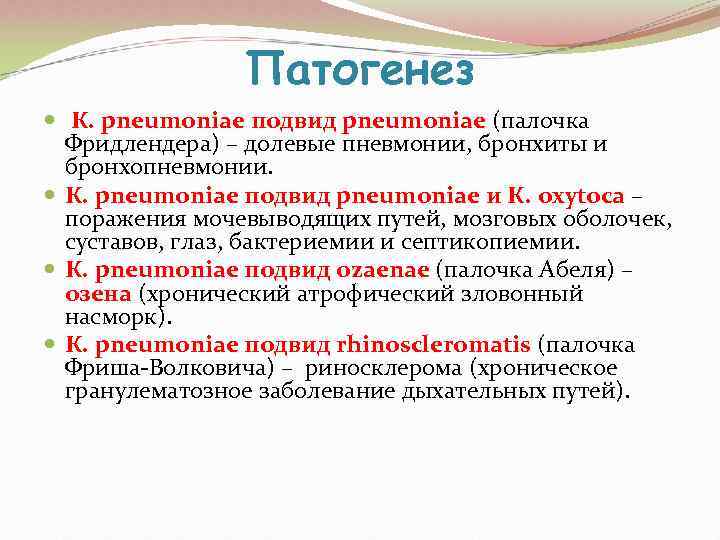     Патогенез  К. pneumoniae подвид pneumoniae (палочка  Фридлендера) –