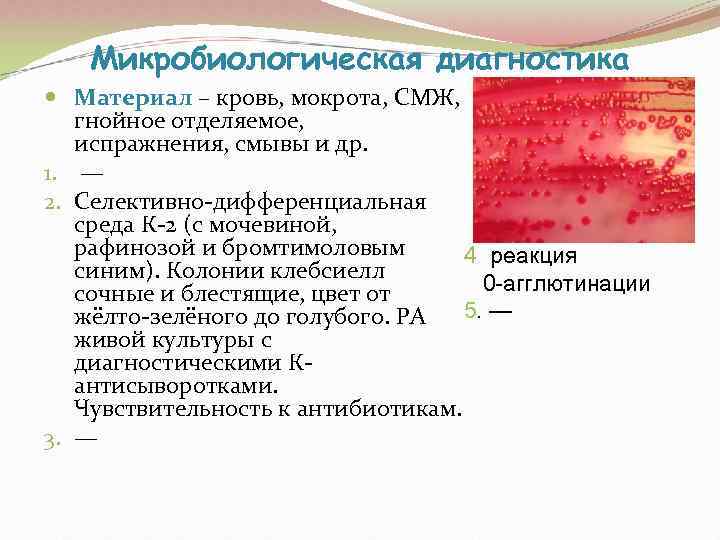   Микробиологическая диагностика  Материал – кровь, мокрота, СМЖ, гнойное отделяемое, испражнения, смывы