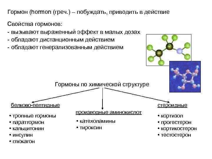 Гормоны человека схема