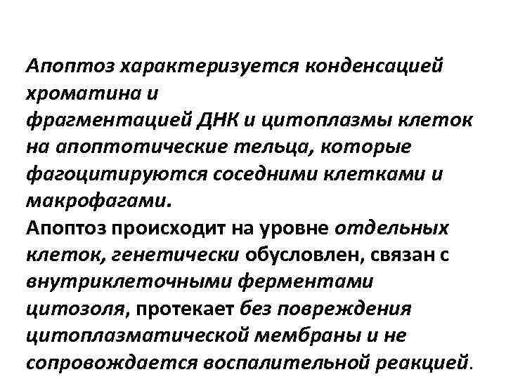  Апоптоз характеризуется конденсацией хроматина и фрагментацией ДНК и цитоплазмы клеток на апоптотические тельца,