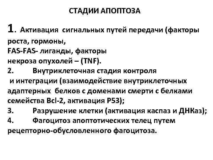    СТАДИИ АПОПТОЗА 1.  Активация сигнальных путей передачи (факторы роста, гормоны,