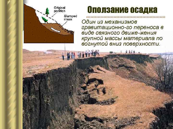 Оползание осадка Один из механизмов гравитационно-го переноса в виде связного движе-жения крупной массы материала