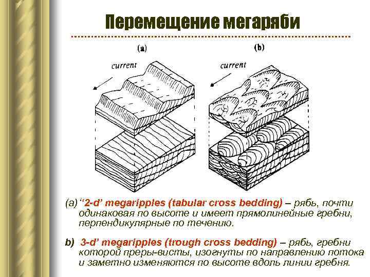 Перемещение мегаряби (a) ‘‘ 2 -d’ megaripples (tabular cross bedding) – рябь, почти одинаковая