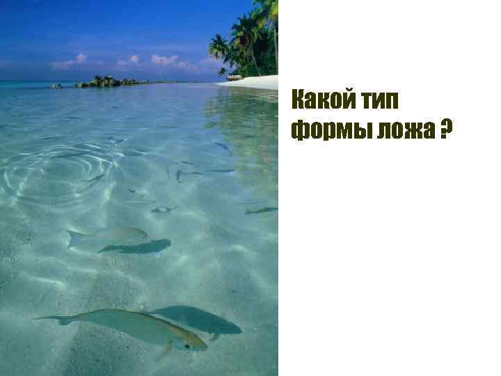 Какой тип формы ложа ? 