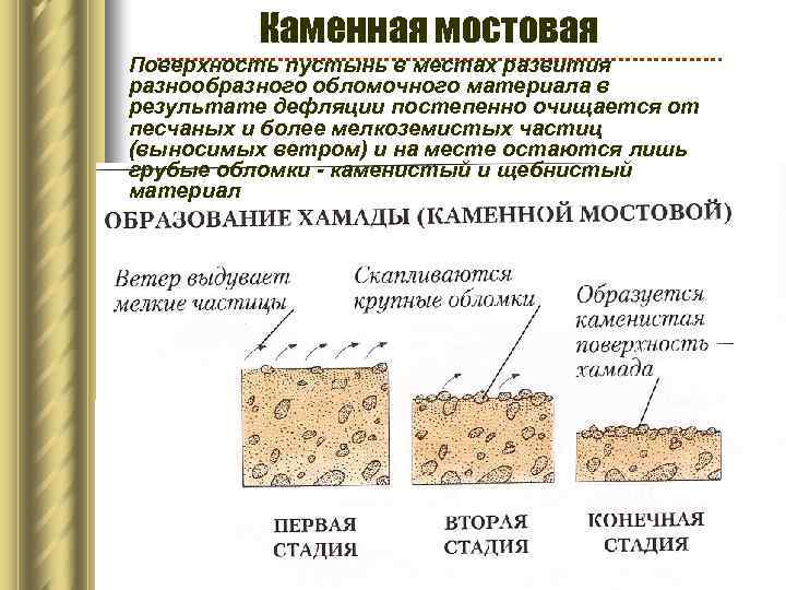 Каменная мостовая Поверхность пустынь в местах развития разнообразного обломочного материала в результате дефляции постепенно