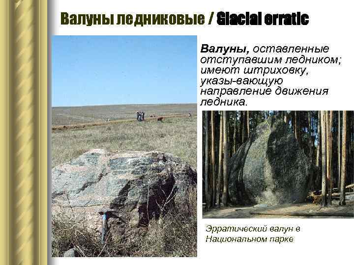 Валуны ледниковые / Glacial erratic Валуны, оставленные отступавшим ледником; имеют штриховку, указы-вающую направление движения