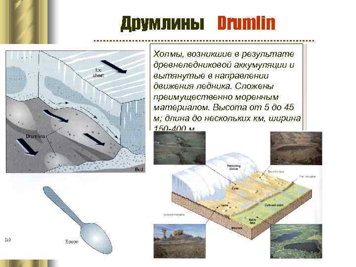 Друмлины Drumlin Холмы, возникшие в результате древнеледниковой аккумуляции и вытянутые в направлении движения ледника.