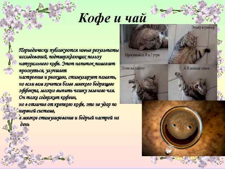      Кофе и чай Периодически публикуются новые результаты исследований, подтверждающих