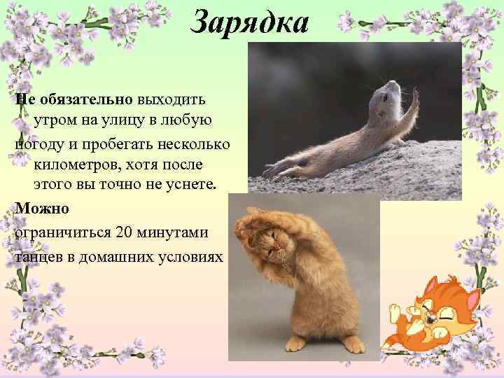     Зарядка  Не обязательно выходить  утром на улицу в