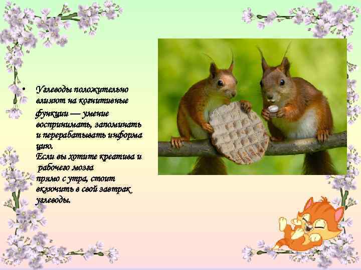  • Углеводы положительно  влияют на когнитивные  функции — умение  воспринимать,