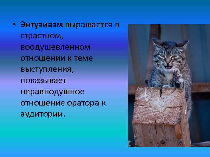  • Энтузиазм выражается в  страстном, воодушевленном  отношении к теме  выступления,