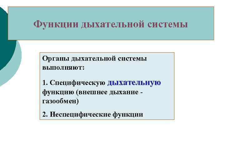 Функции дыхательной системы Органы дыхательной системы выполняют: 1. Специфическую дыхательную функцию (внешнее дыхание -
