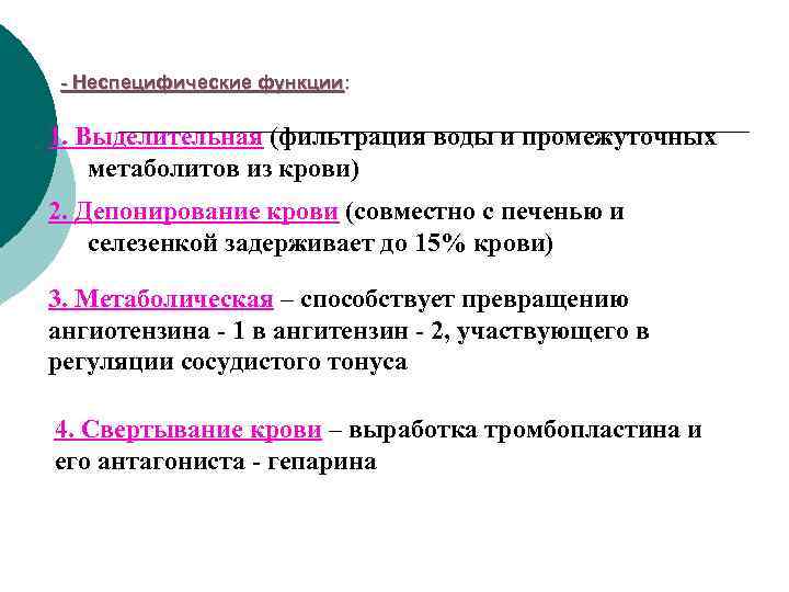 - Неспецифические функции: 1. Выделительная (фильтрация воды и промежуточных метаболитов из крови) 2. Депонирование